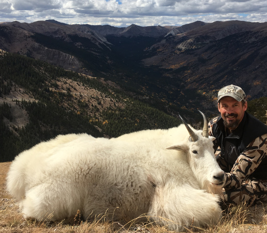 Colorado Mountain Goat Draw Recommendations 2018
