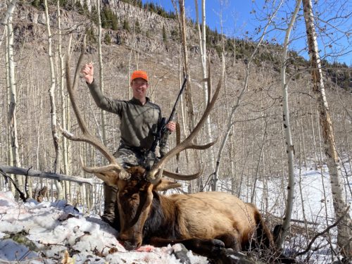 Guide to Colorado’s Draw 2021 Moose, Deer, Elk and Bear